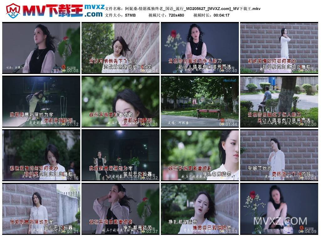 阿妮桑-情愿孤独终老_国语_流行_MD205627